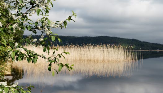 Tyresö