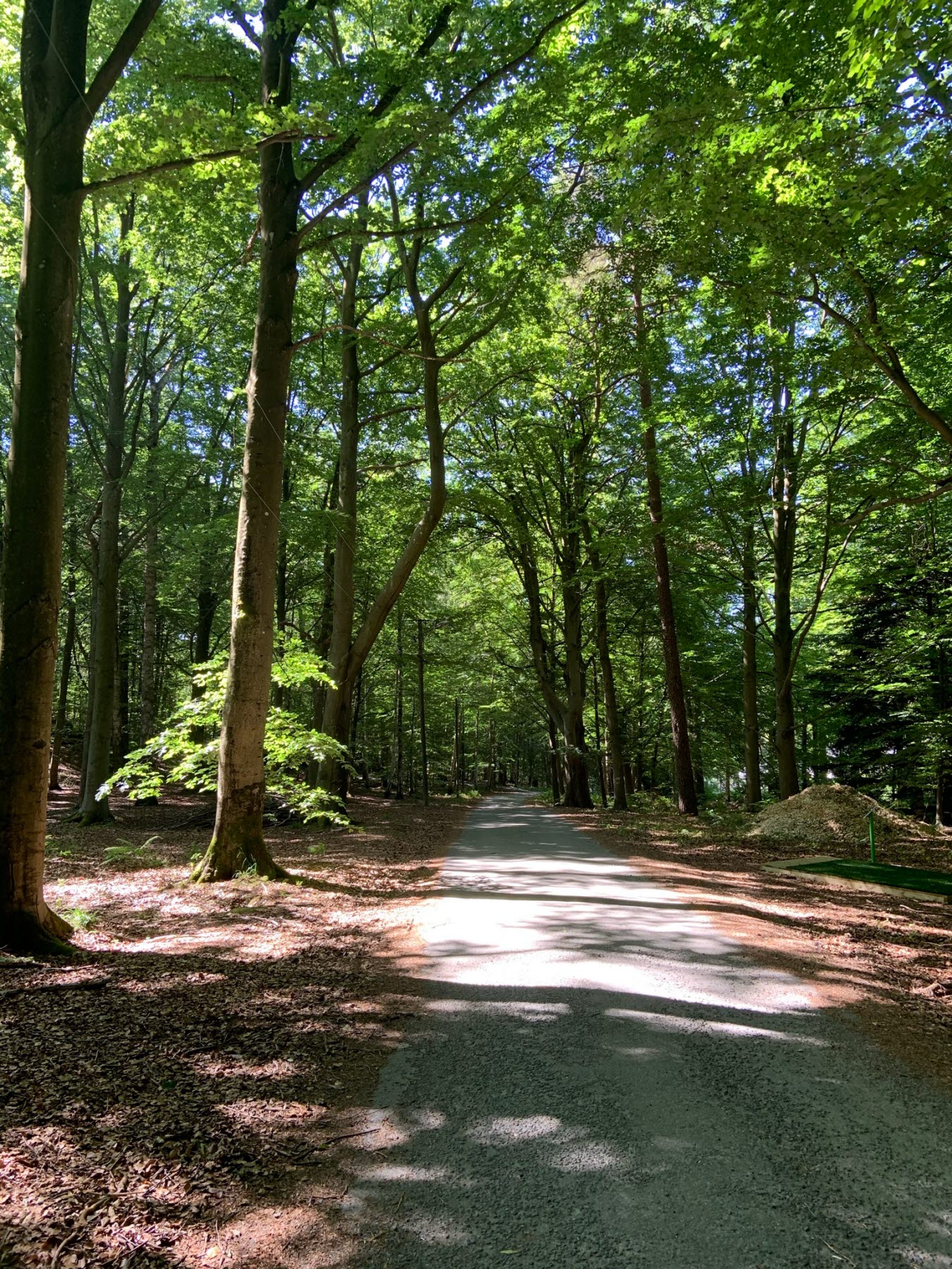 slinga i wendelsbergsparken