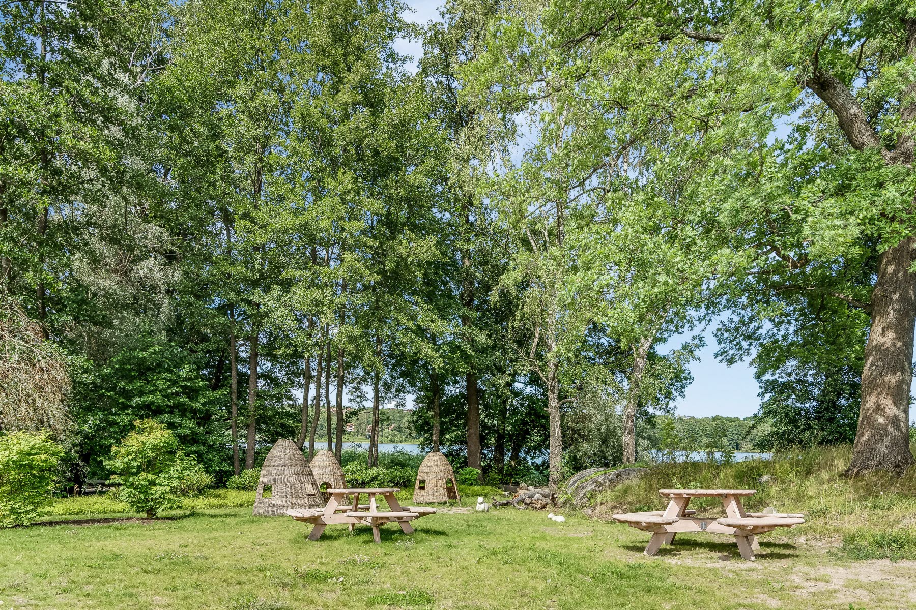 Områdesbild sommar. Sittgrupper på gräs intill stora gröna träd.