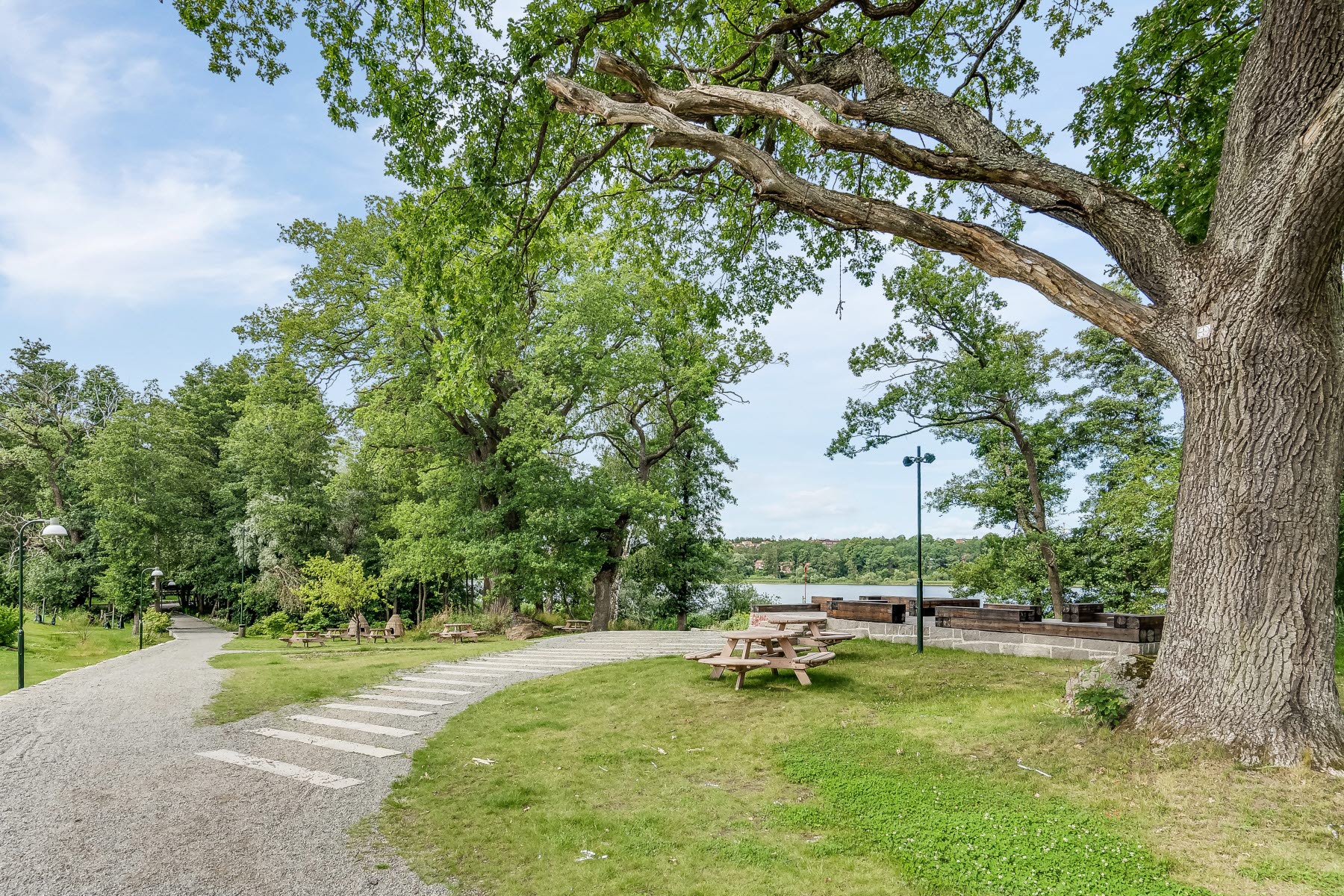Områdesbild sommar. Promenadstig mot badbrygga.