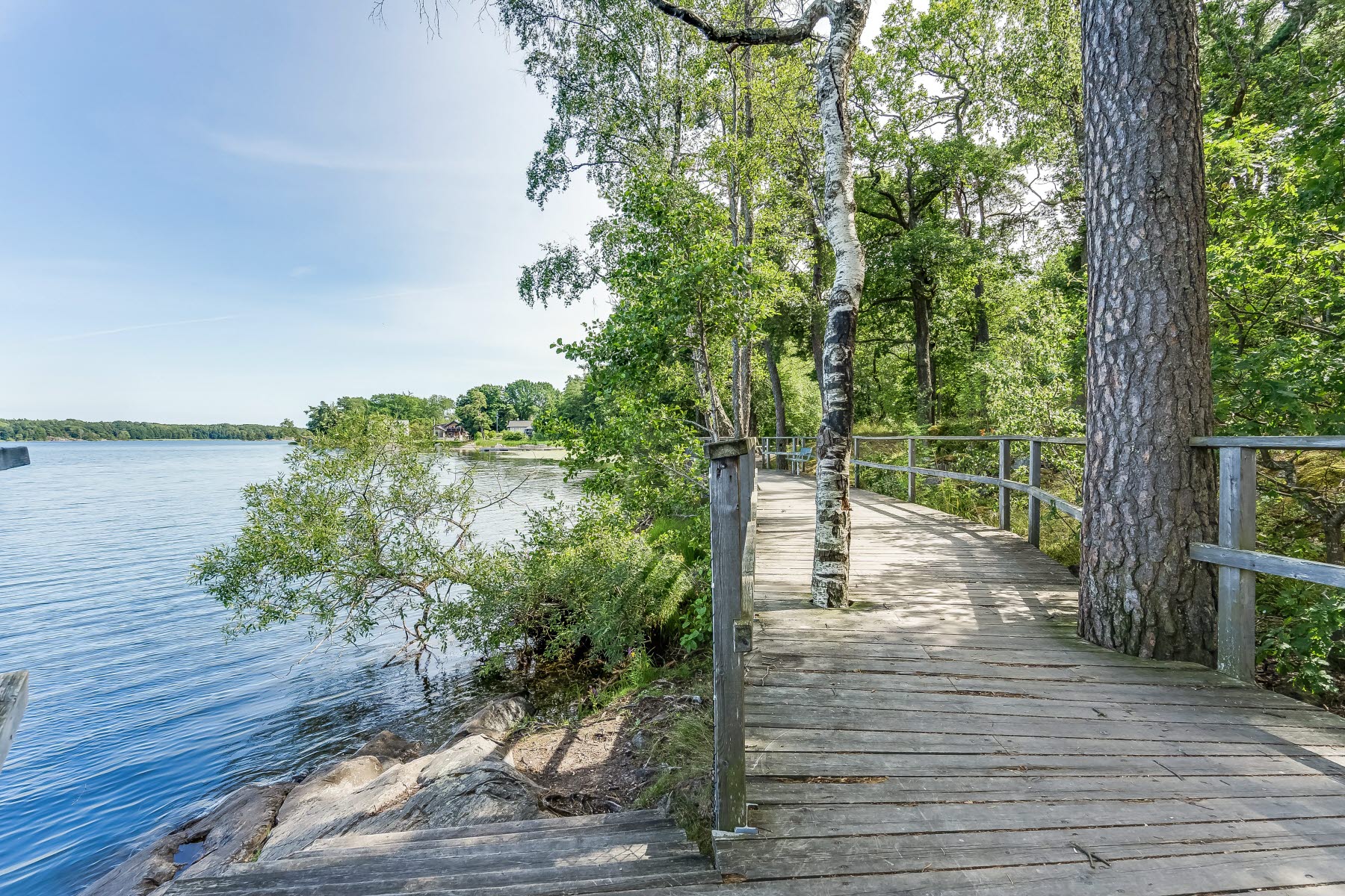 Områdesbild sommar. Promenadstråk med vattnet till vänster och skogen till höger.