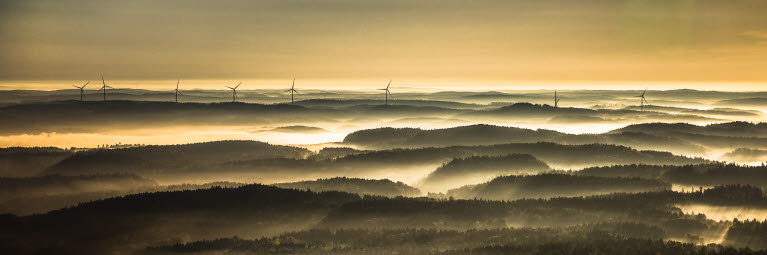 Skogslandskap i skymningen med vindkraftverk
