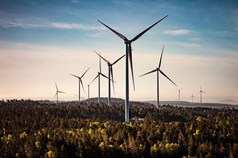 Vindkraftverk som sticker upp över trädtopppar. Blå himmel.