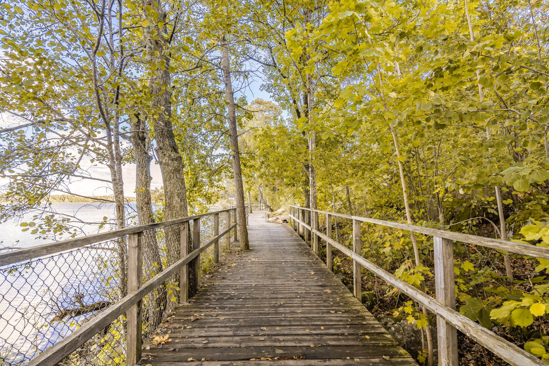 Områdesbild sensommar. Promenadstråk med vattnet till vänster och skog till höger. Löven på träden har börjat falla och det är vått på marken.