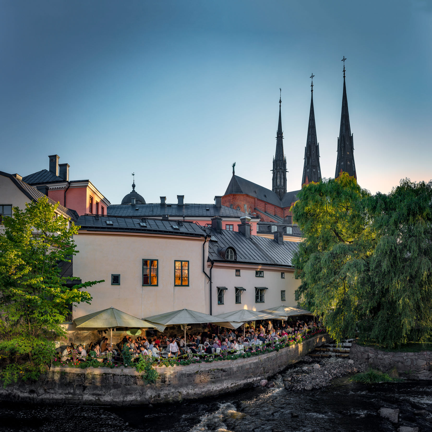 Vy över centrala Uppsala med domkyrkan i bakgrunden