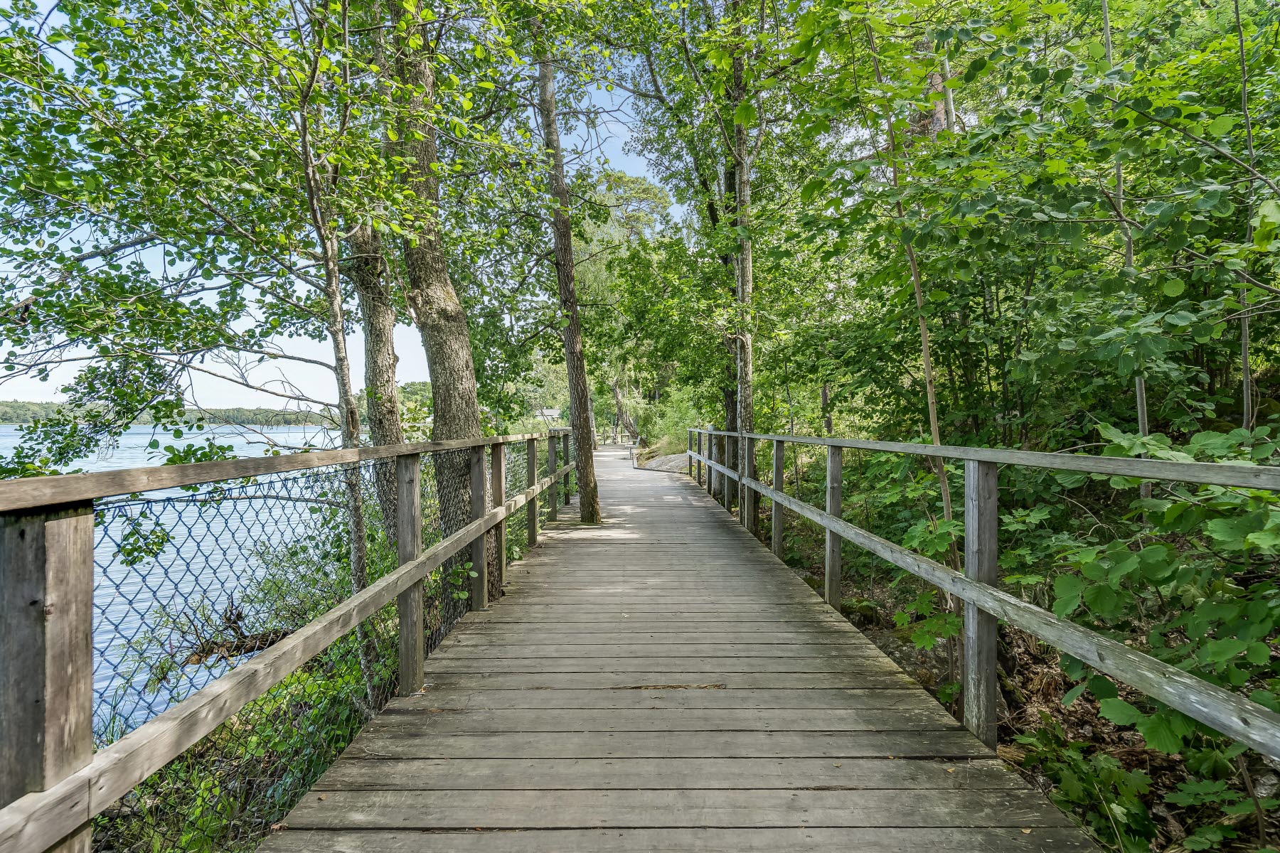 Områdesbild sommar. Promenadstråk med vattnet till vänster och skog till höger..