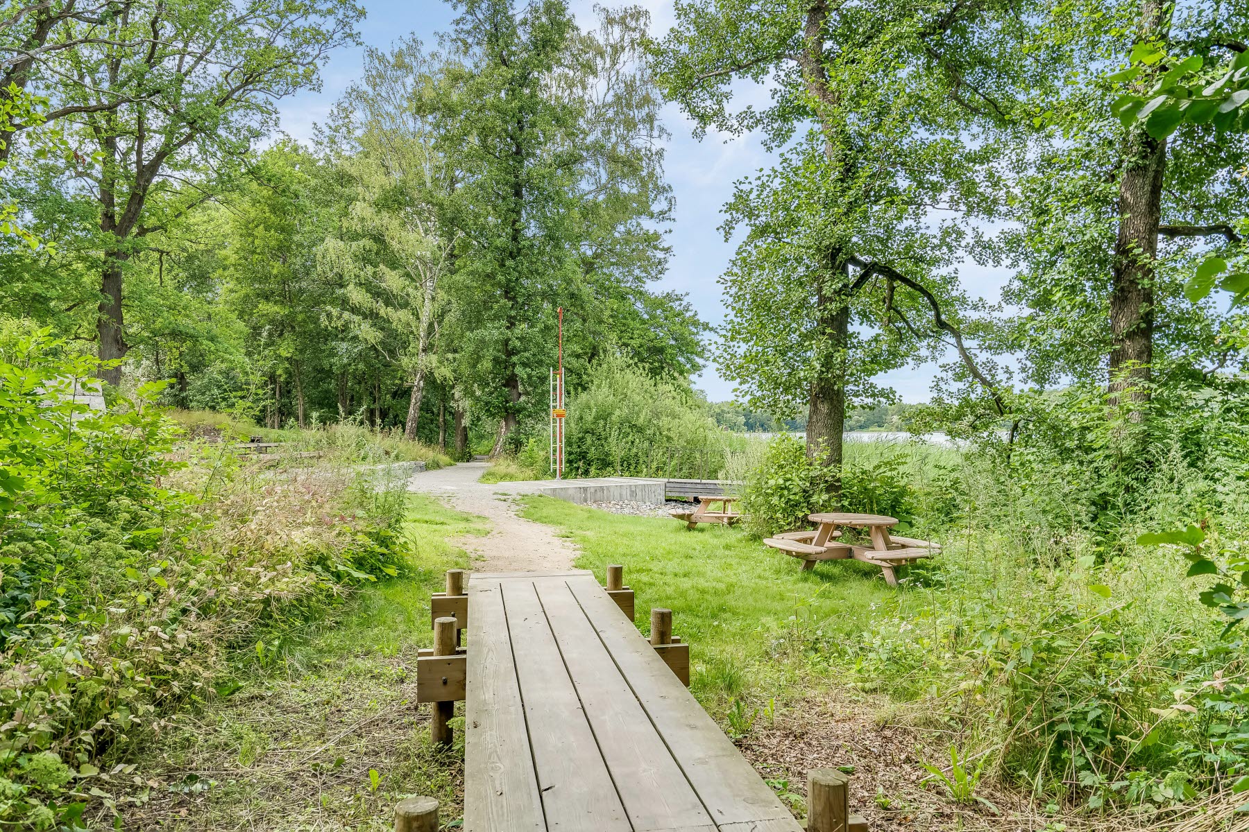 Områdesbild sommar. Promenadstråk från skog.