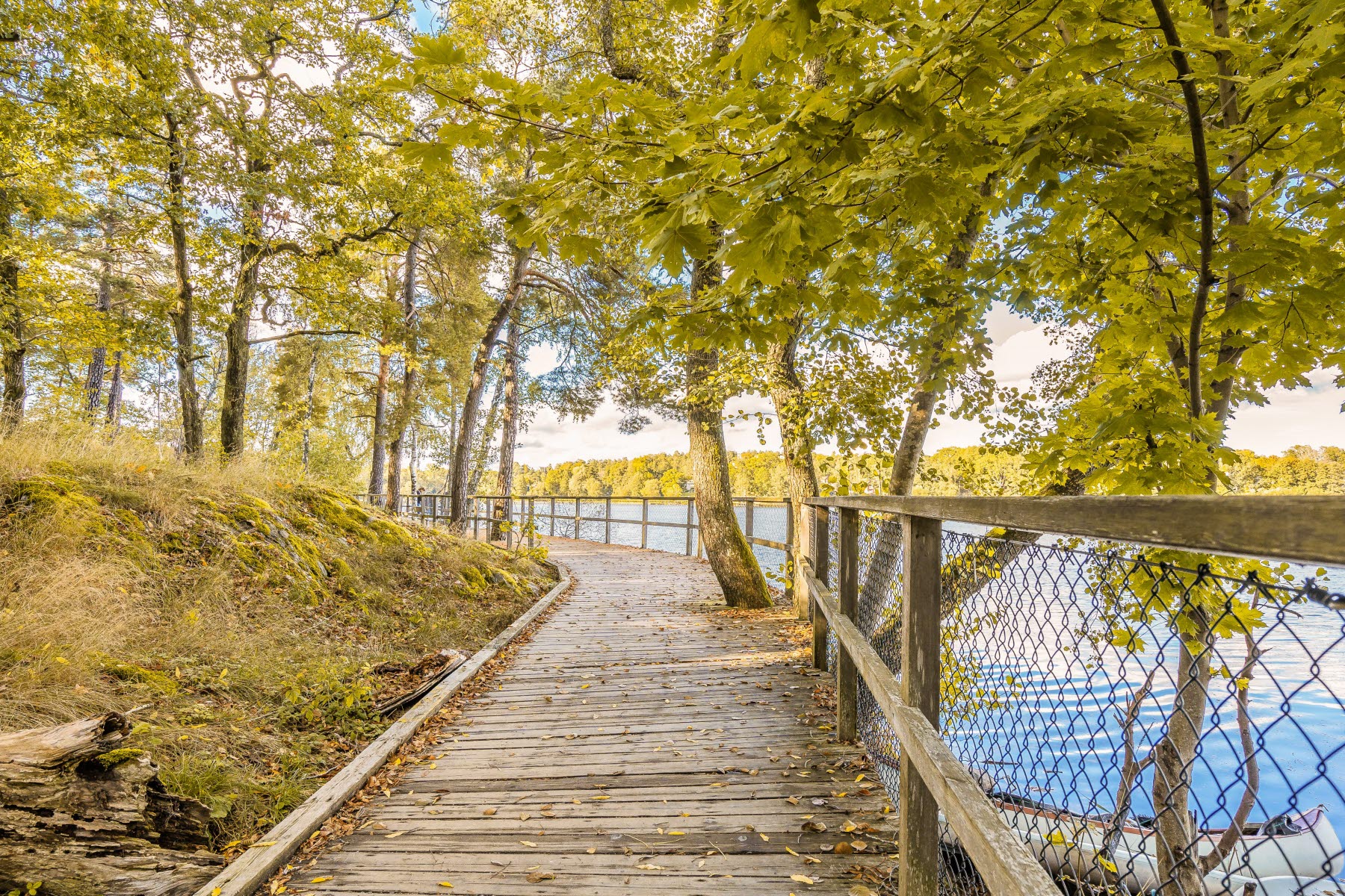Områdesbild sen sommar. Promenadstråk med vattnet till höger och skogen till vänster.
