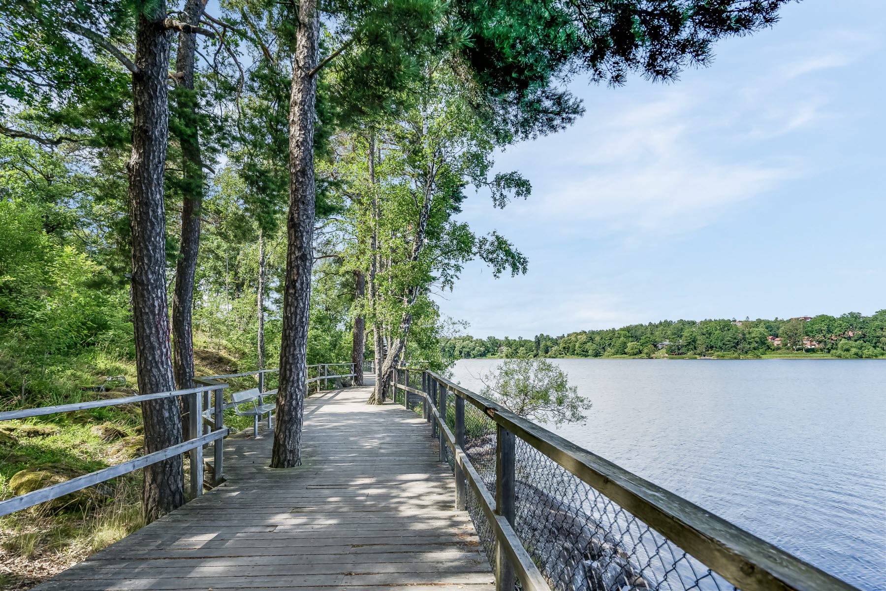 Områdesbild sommar. Promenadstråk med vattnet till höger och skogen till vänster.